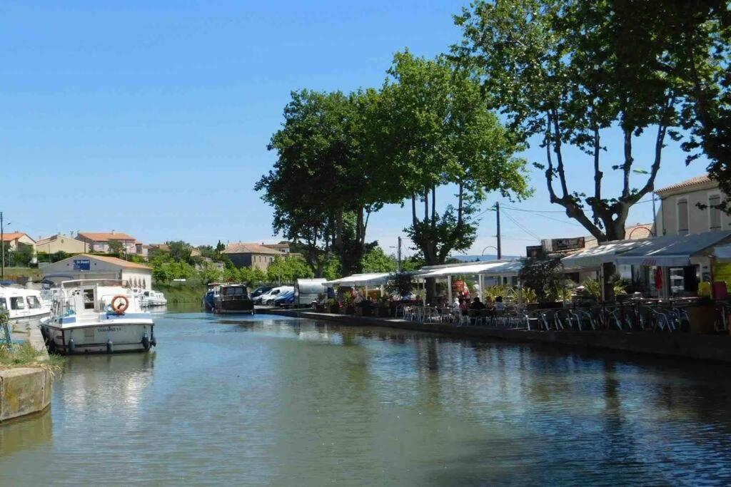 Chez Gaelle Apartman Trèbes Kültér fotó