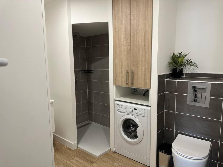 Chez Gaelle Apartman Trèbes Kültér fotó