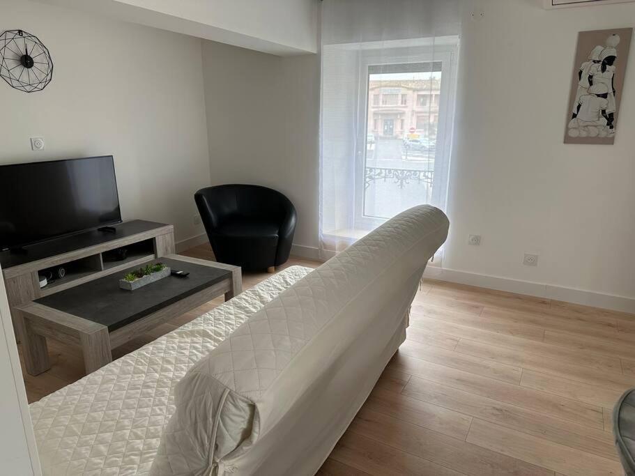 Chez Gaelle Apartman Trèbes Kültér fotó