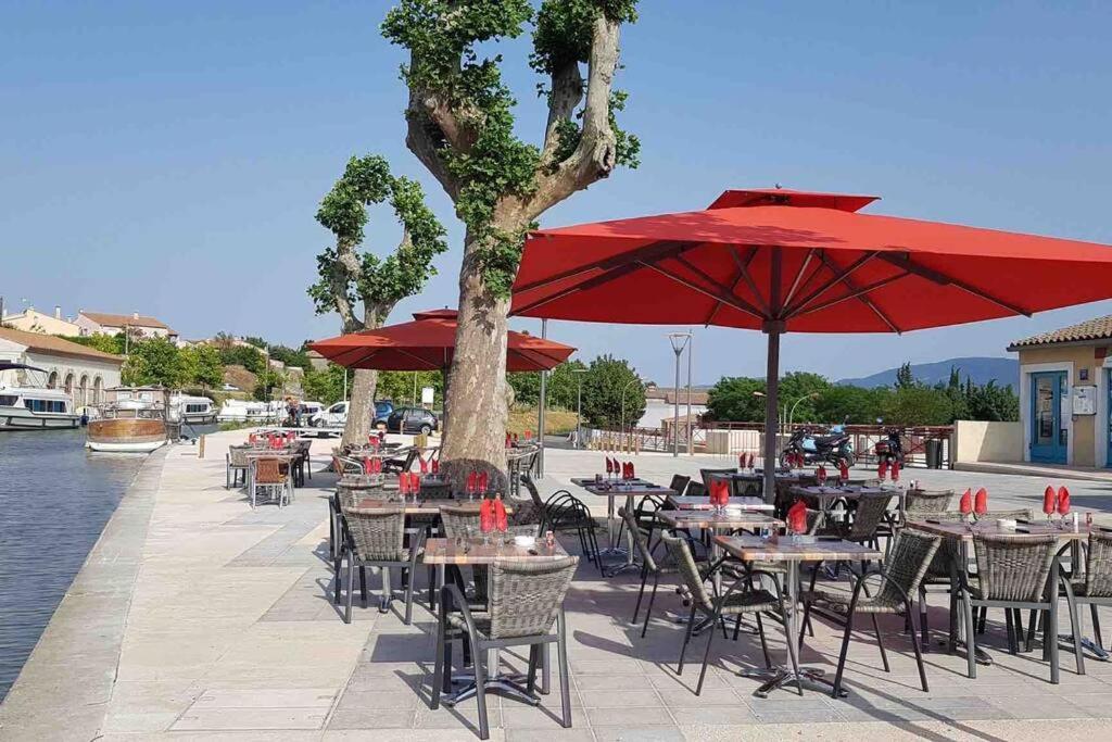 Chez Gaelle Apartman Trèbes Kültér fotó
